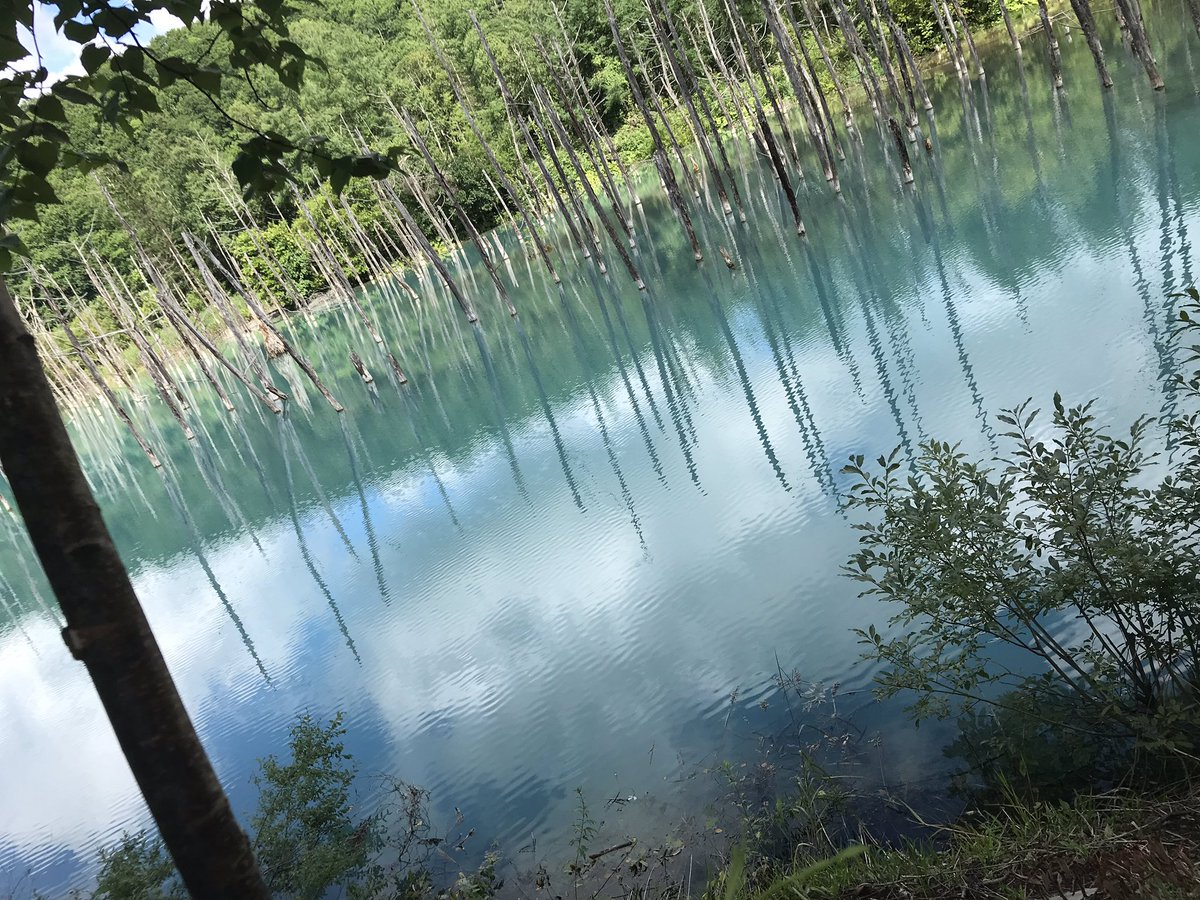 KAZU_CUB's tweet photo. 昨日から北海道ツーリングに来ています。 https://t.co/TvddQoU6wJ