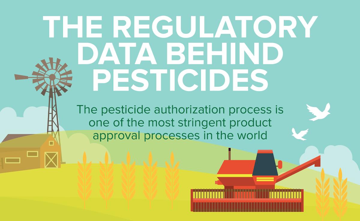 CropLifeIntl's tweet photo. #DYK the #pesticide authorization process is one of the strictest product approval processes in the world https://t.co/vDA1EA7pq2 #pesticidefacts @BASF @Syngenta @Bayer4Crops @FMCCorp @corteva  @cropprotection @kazyamato1 https://t.co/AK5ITTvLAu