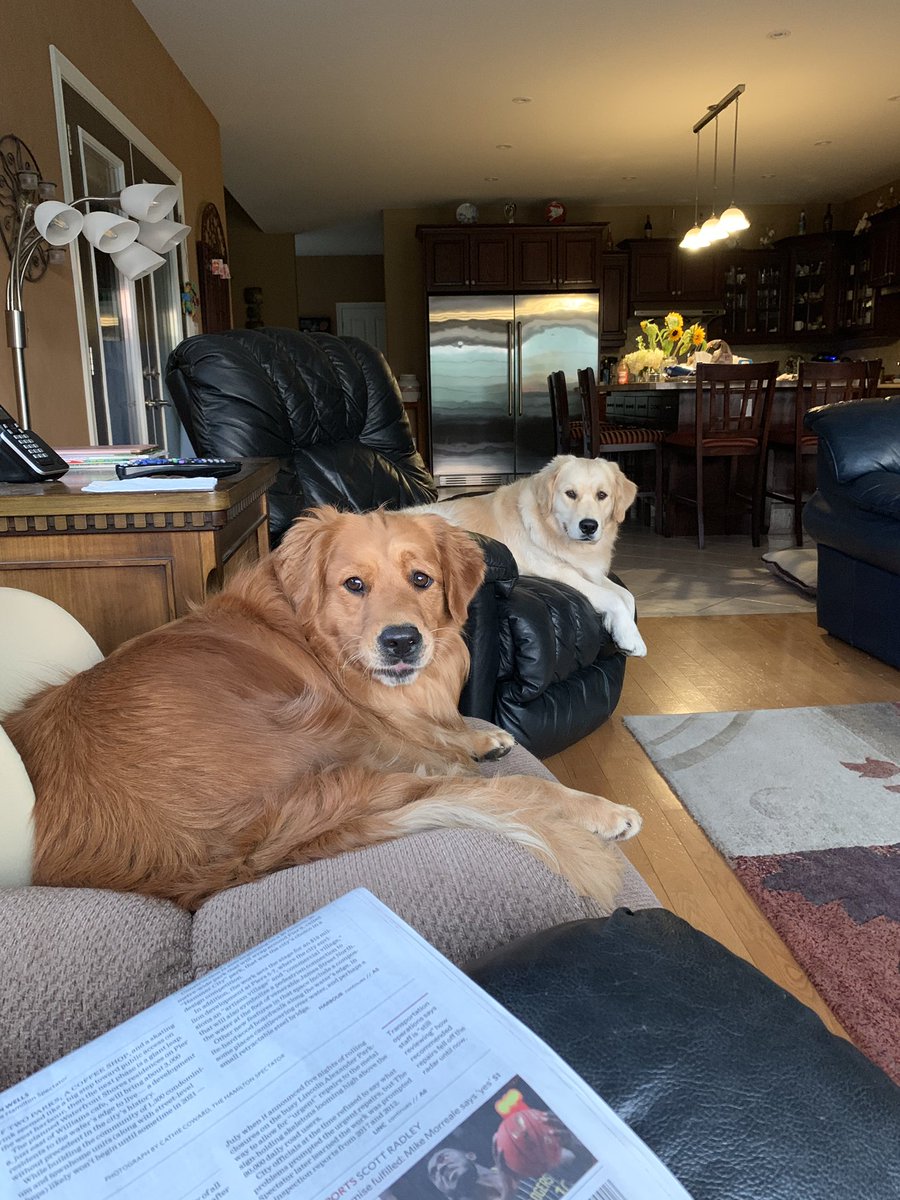 joeplazek's tweet photo. When I sit down to read the paper in the morning,,,, #hamiltonspec https://t.co/GovBEmdYIQ