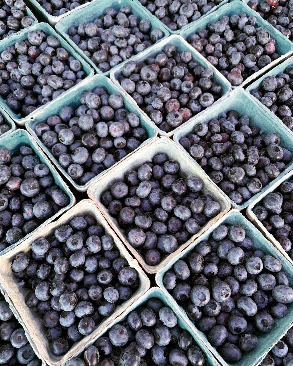 HotelHiHo's tweet photo. LOCAL SPOTLIGHT // From 10a.m. - 2p.m. on Thursdays, the Westport Farmers’ Market provides fresh, locally grown, healthy food from over 40 different vendors. Choose a snack and enjoy it near the beautiful Saugatuck River!

Learn more: https://t.co/QqZ37zvUum https://t.co/PWPza9LCfk