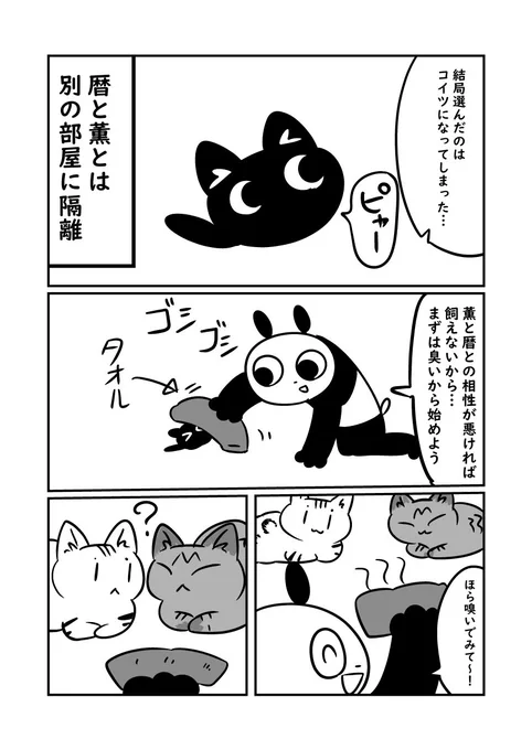 子猫が来た話　大人の猫の方がビビりだった　（暦と薫が見分け辛いので今回から暦さんにトーンはいります　#ぬら次郎日記 