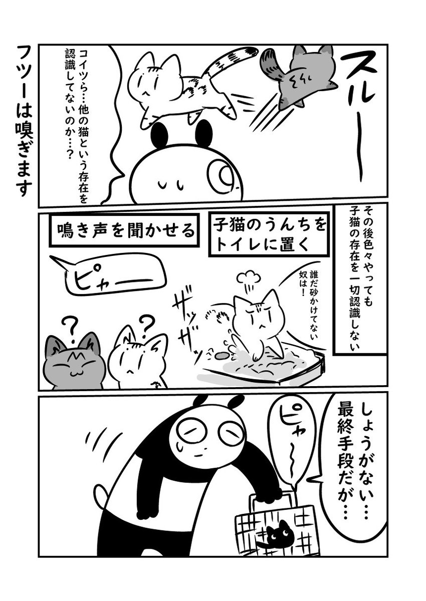 子猫が来た話　大人の猫の方がビビりだった　（暦と薫が見分け辛いので今回から暦さんにトーンはいります　#ぬら次郎日記 