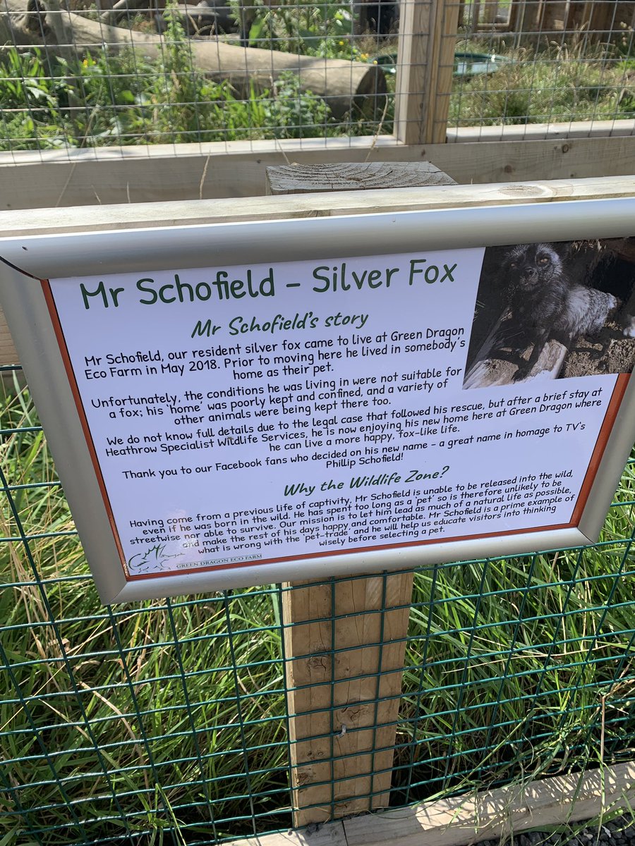kellydwilliams's tweet photo. @Schofe look what we found at our local farm https://t.co/MJhXBWQCJT