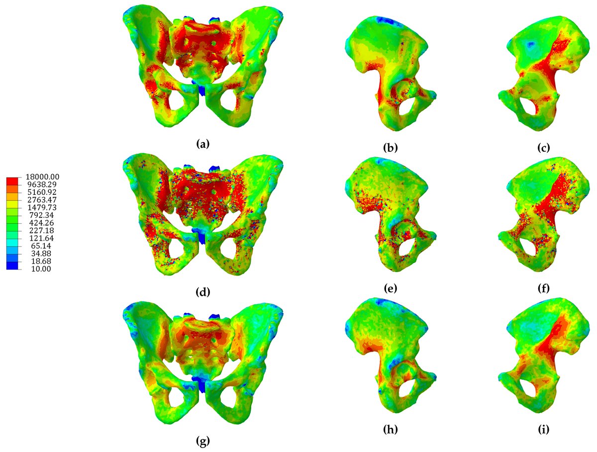 ciba foundation symposium the thymus experimental and