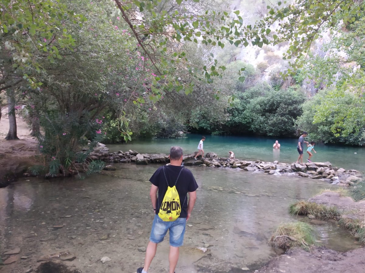 Lemon Baloncesto tweet media