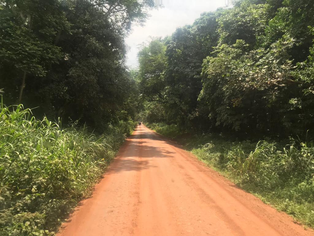 Sandfieldtravel's tweet photo. How many of you feel like your hearts were meant to travel this world.
Please contact #SandFieldTravel to take you around destination Uganda. https://t.co/ofrWg5tATa