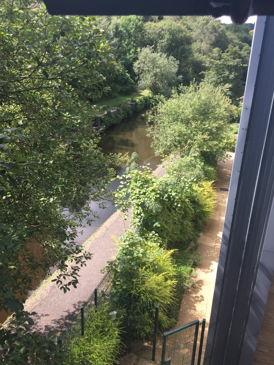 CHFTPRG's tweet photo. What a lovely relaxing view whilst conducting our assessments today. #todmorden #PRG #shuttletest @CHFTNHS @CHFTrespnurses1 https://t.co/B22fmEGke3