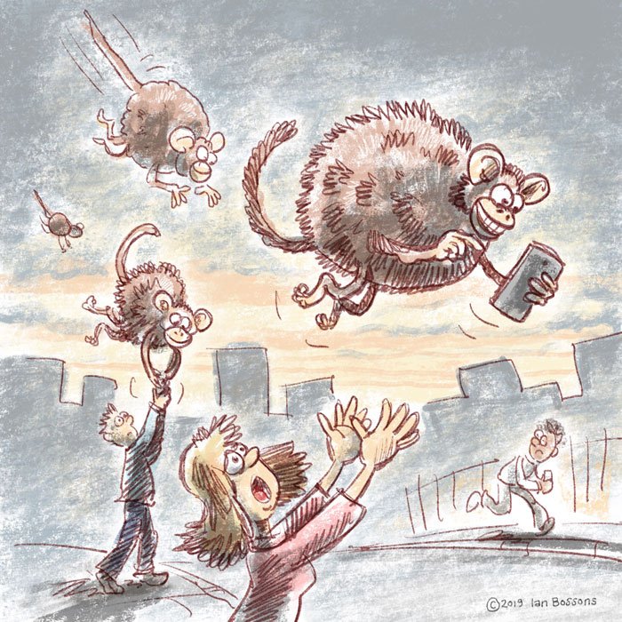 Ian_Bossons's tweet photo. Attack of the monkeyloons.
@Animaloonies #animaloon_collective #monkeyloonday #monkeyloon https://t.co/ucERwlTjmJ