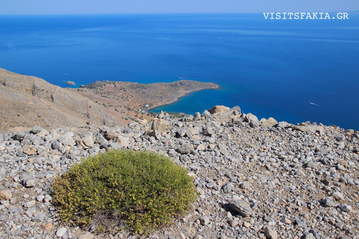 VisitSfakia's tweet photo. Discover hidden paradise.  Discover SFAKIÁ! 

#VisitSfakia #VisitCrete #VisitGreece #Greece #Sfakia #Crete #Κρητη #Σφακια #Greeksummer https://t.co/E9xV0oCvh8