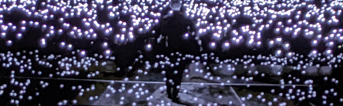 Mark Ricche tweet media