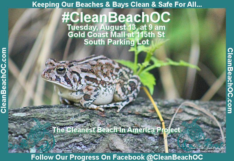 OceanCityCool's tweet photo. Join us tomorrow morning at 9 am for this week's #CleanBeachOC, we are meeting at the south parking lot of Gold Coast Mall - Ocean City, MD, all welcome... Learn more https://t.co/2qVpNCLNdE
#oceancitycool https://t.co/UirF8hwtoG