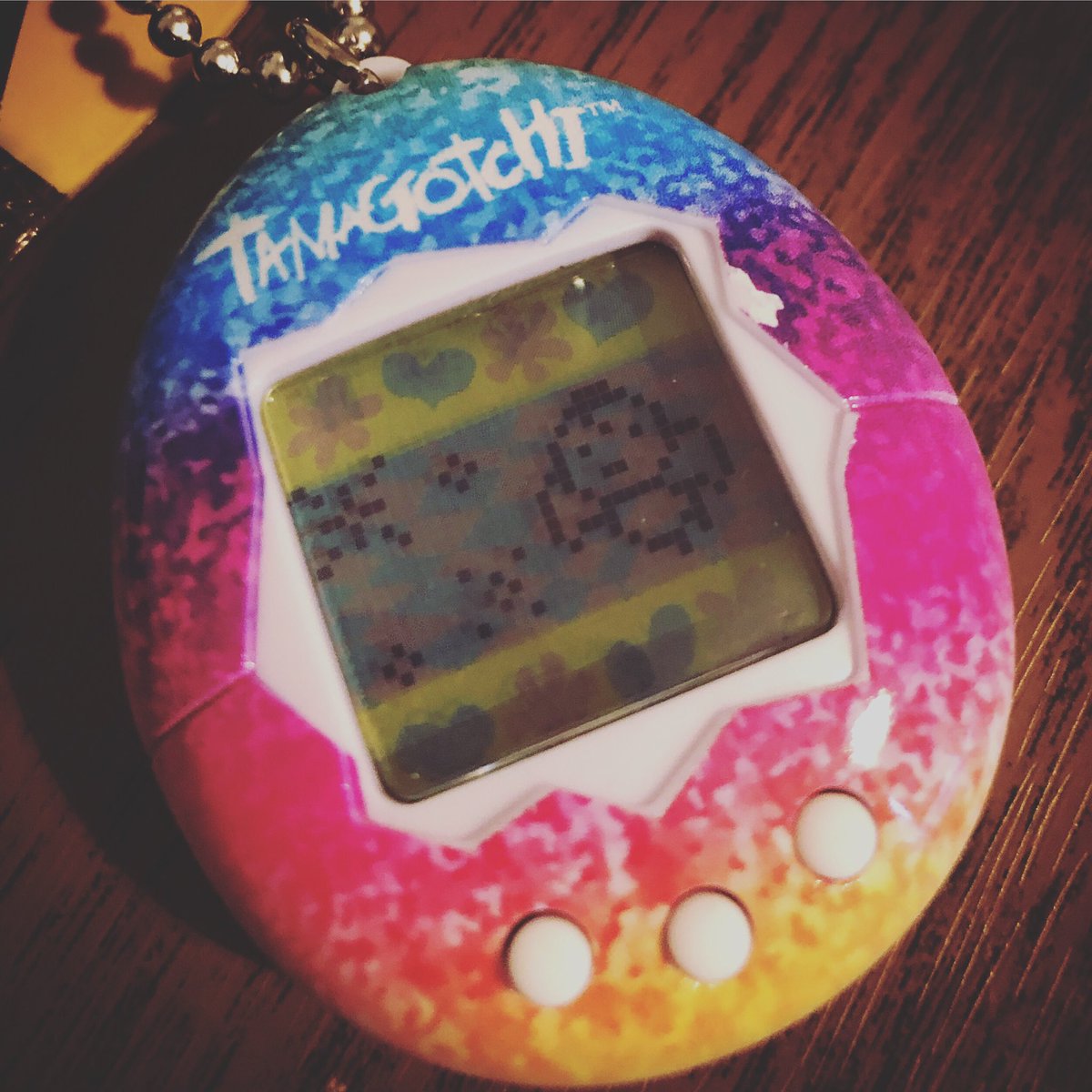 katiepritchards's tweet photo. This is what a day of self care at the fringe gets me... #RIPEmmaTheTamagotchi #WhyWillNoOneTakeHerOffMyHands #SoMuchResponsibility #LessonsInNostalgia #Tamagotchi #FailedMother https://t.co/vvZG1ZIzDD