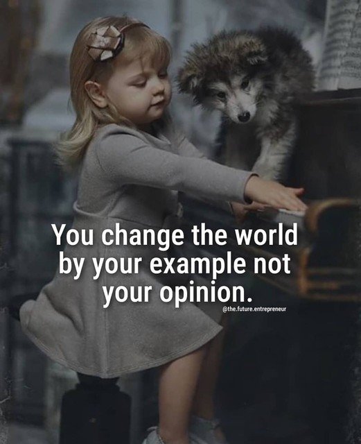 Sara_Gaver's tweet photo. Do you see yourself as a leader or a follower?  #businesswoman #follow #leader #opportunity #change #wheellifeconnections #tellyourstory https://t.co/3ORN2bxyX6
