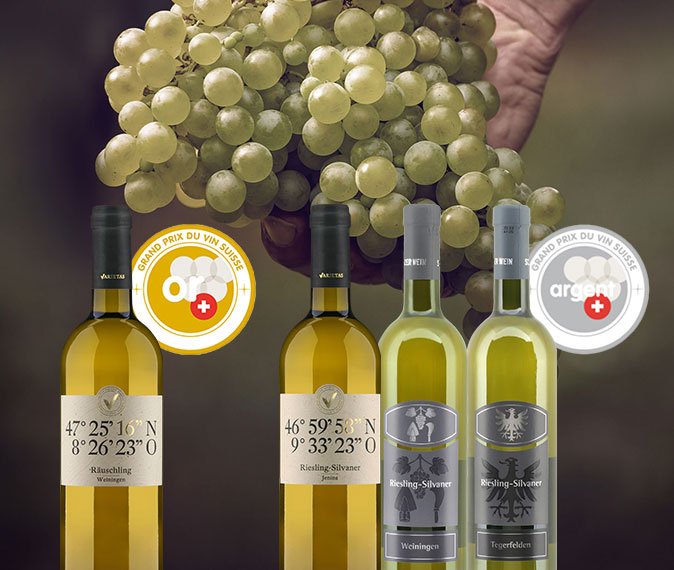 fenaco's tweet photo. Am Grand Prix du Vin Suisse 2019 wurden vier Eigenkelterungen des fenaco Unternehmens DiVino SA ausgezeichnet. > https://t.co/hAwXxdfZgY  @vinum_magazin #gpvs https://t.co/AXlfn73nuM