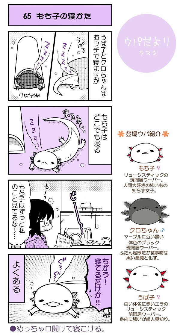 【ウパだより65】だいたい毎週公開のウーパールーパー4コマ。突然寝ちゃう、赤ちゃんみたい…(汗)
(https://t.co/5eoVFWNE2C) #ウパだより #うぱ子だより #ウーパールーパー 