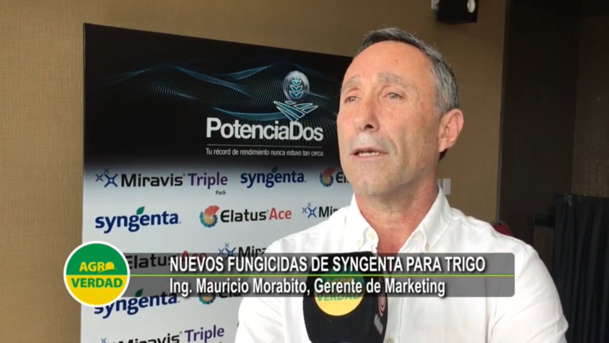 Agroverdad's tweet photo. #AgroVideo📺 
En #trigo se logran beneficios de entre u$s 30 a u$s 60 por hectárea con los dos nuevos fungicidas de @Syngenta_ar 
⏯ https://t.co/fRP9zNKJZ4 https://t.co/FuZ3KEjYq2