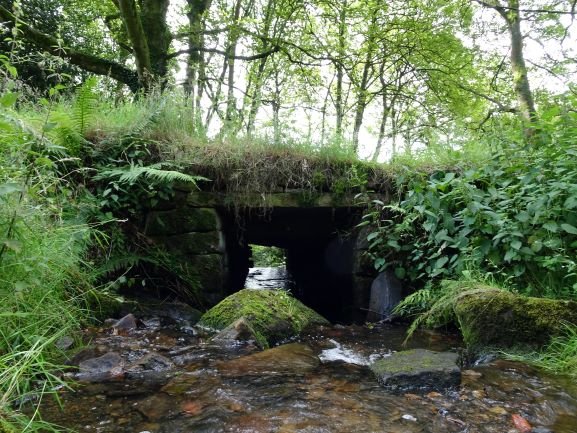 SheffieldLakes's tweet photo. Our Community Ecologist went to explore around the Rocher in the Sheffield Lakelands last week so we thought we'd share these images #SheffLakes #wildsheffield https://t.co/2sJW6An99i