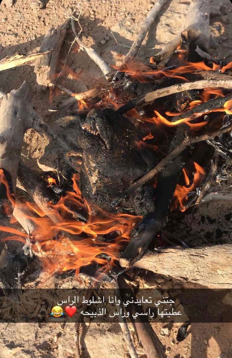 #قللي_العنوسه_وتزوجي_الثاني