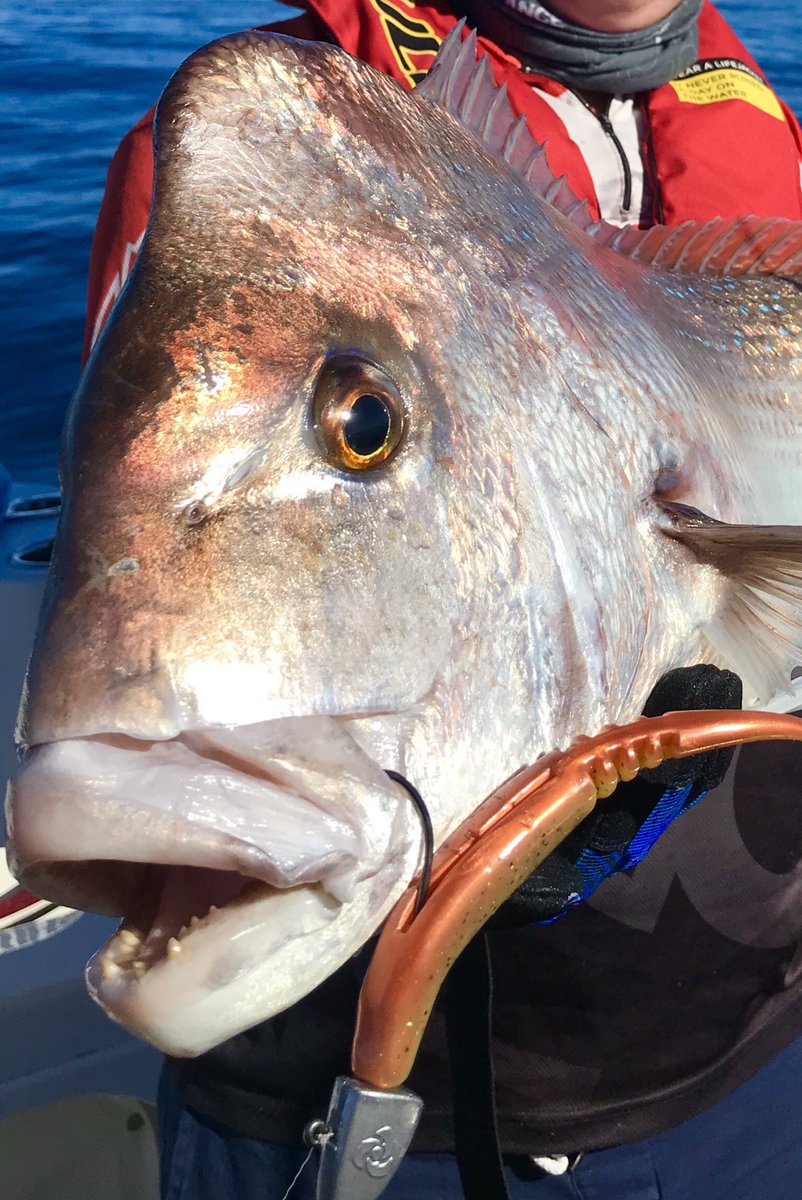Big winter snapper love plastics and bait-but what’s best?  I can help teach you what to use when, where, why and how...just like I helped Mackenzie pictured. If you’re interested Join me this Thur at Sunstate Sea-Doo Can-Am 12:30 to 2pm-it’ll be my pleasure. 

#SnapperObssesion