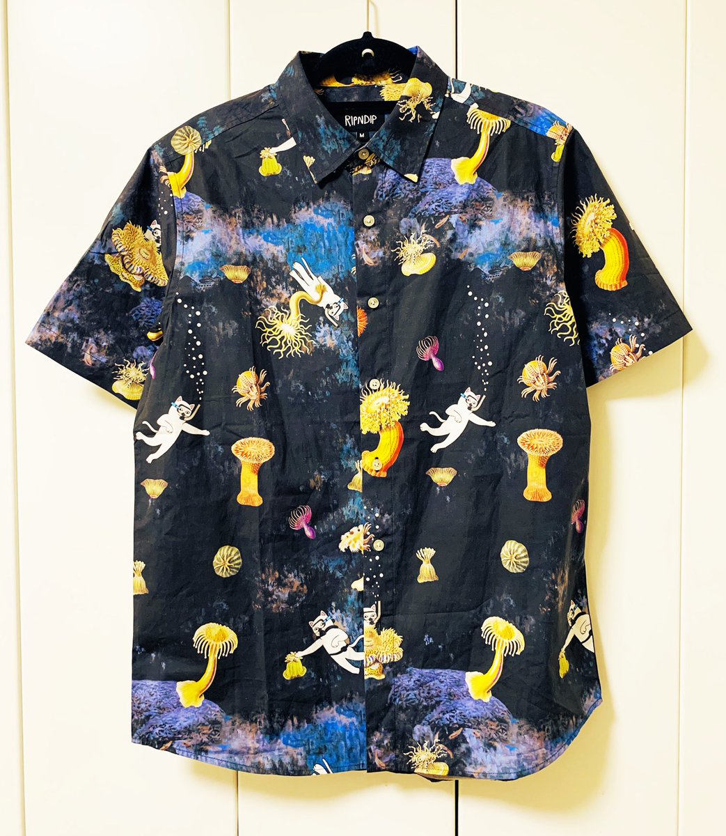ところで最近買ったお気に入りのシャツを見てください 