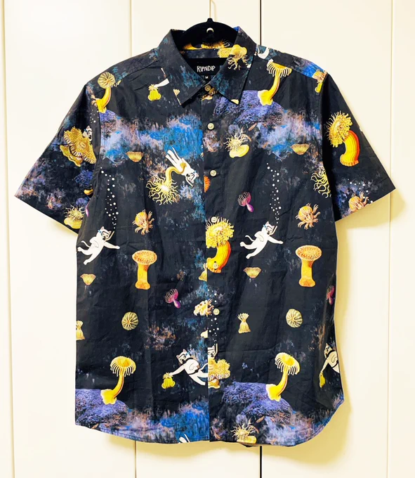 ところで最近買ったお気に入りのシャツを見てください 