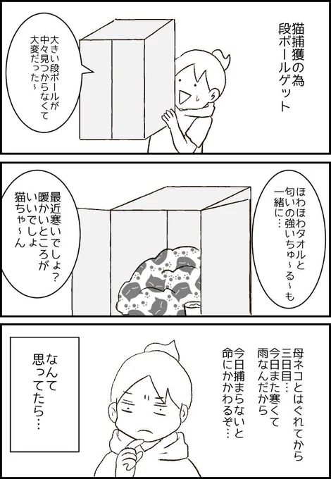 子猫保護作戦三日目 続きはこちら→ https://t.co/igfKjbCgsn  #子猫 #保護猫 