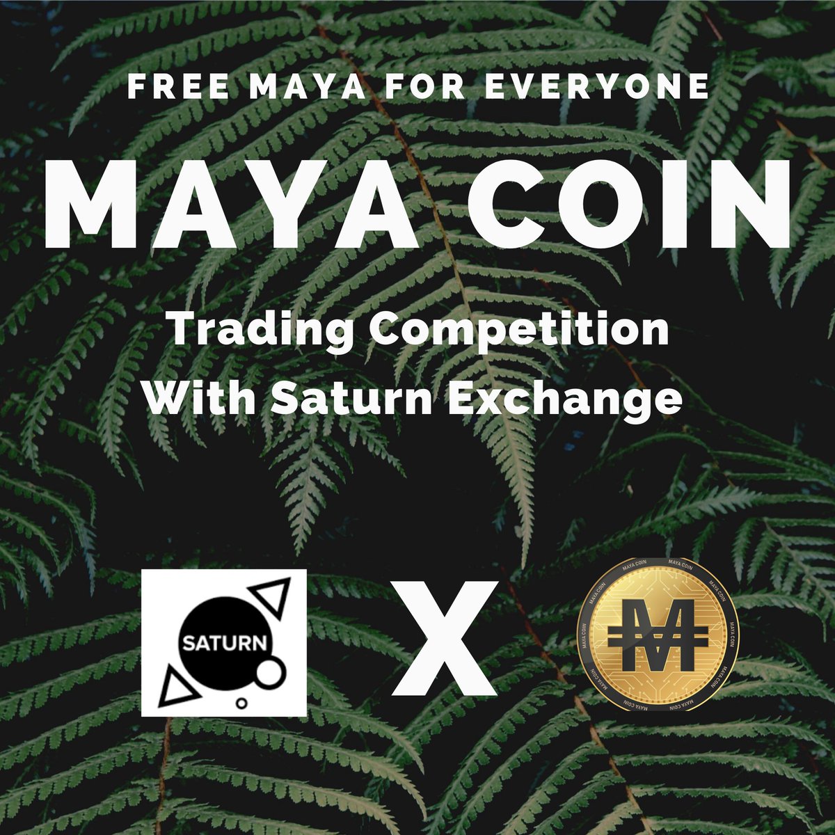 Bounty Zoo tweet media