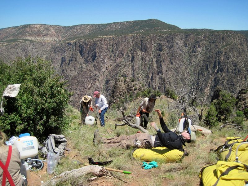 TechlineNews's tweet photo. 3,000 foot elevation gain with backpack sprayers? This story and MORE good stuff you can use in our latest edition of TechLine Invasive Plant Newsletter. Check it out here: https://t.co/w5Yy049jDb https://t.co/BFAcvrpKNu