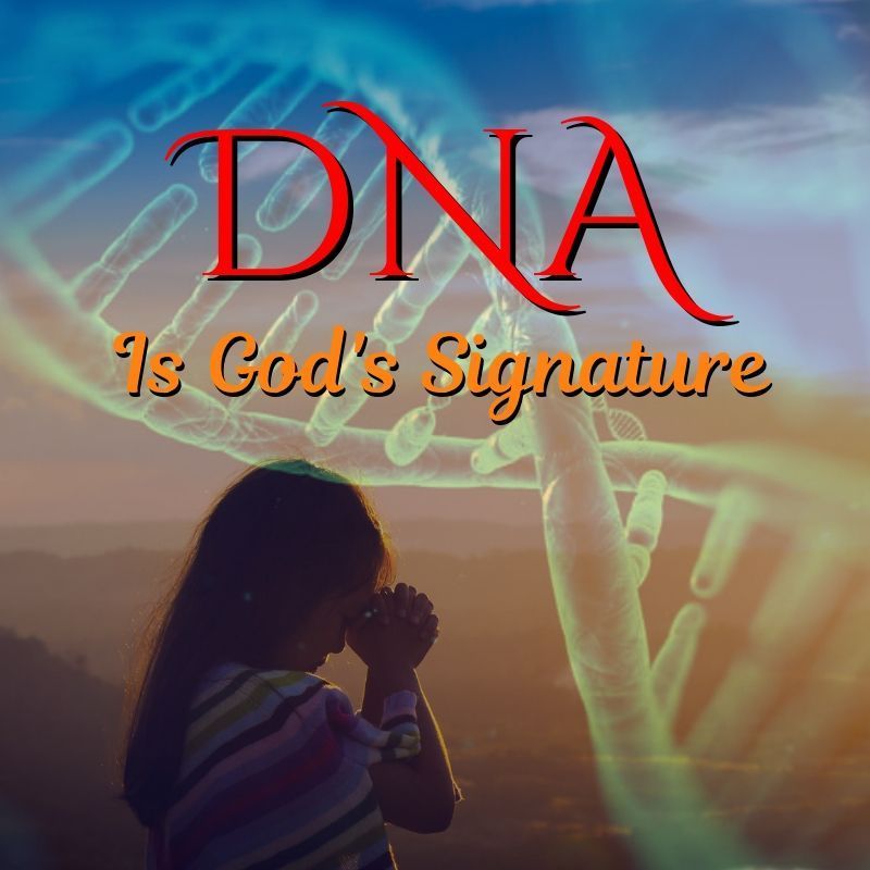 Reach4JesusMin's tweet photo. DNA is God’s Signature https://t.co/t7ErxlLpfc https://t.co/kdf6TdaLKc