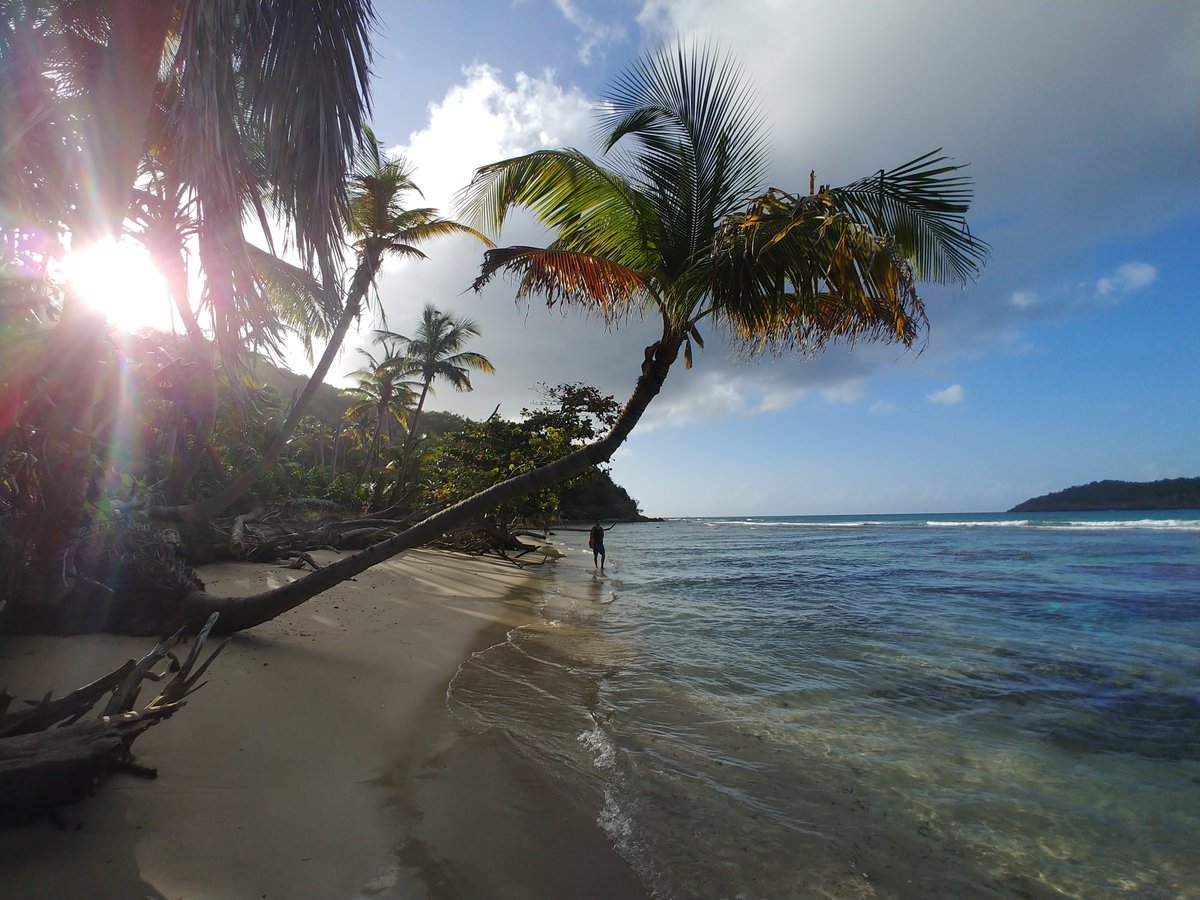 explor_cation's tweet photo. Today we are dreaming of the beaches on #stthomas Where is your mind today? #TravelTuesday  #adventure #beach #wanderlust #traveltribe  https://t.co/lkBHJI6oDf https://t.co/1PO3wGWYUK