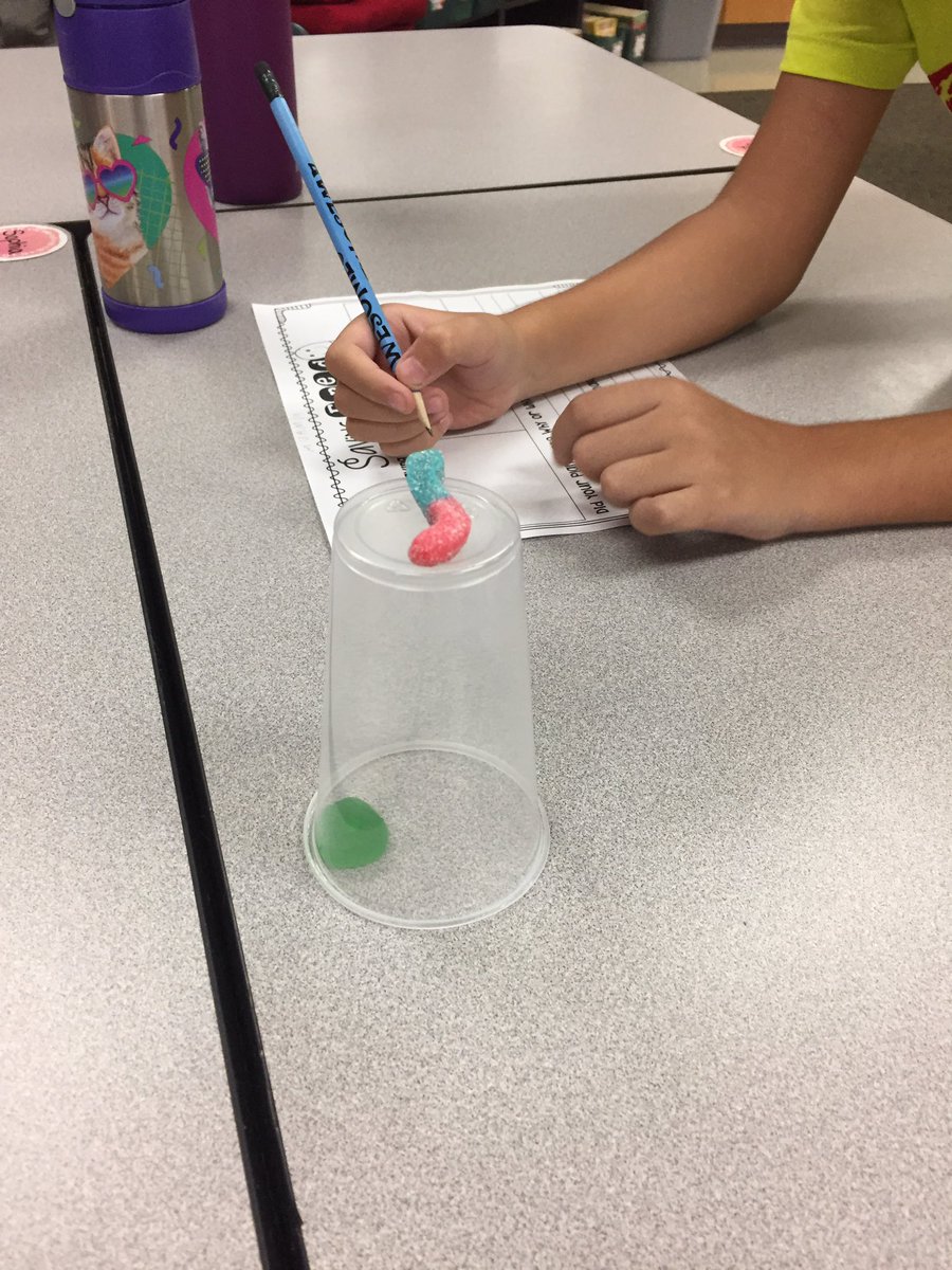 msLthirdgrade's tweet photo. Third graders had so much fun “Saving Fred” during a cooperative learning activity on the first day of school! @StrongBobcats https://t.co/kqWvyOd0kR