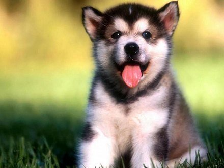 matusivancik22's tweet photo. @sweetrhythms @semrasevimli44 https://t.co/hd7FxHZ7c5