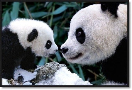 matusivancik22's tweet photo. @sweetrhythms @semrasevimli44 https://t.co/hd7FxHZ7c5