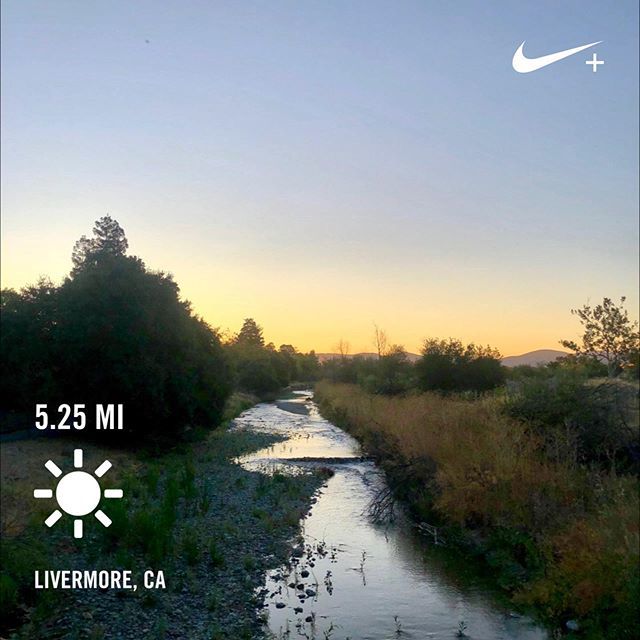 npann's tweet photo. After logging 1553 runs in @nikerunning today marks my 9,320 mile raising me to Run Level Volt! #nrc #nikeplus #nikerunning #voltlevel #volt https://t.co/T5F77x3sBR https://t.co/1Mm04EbsTj