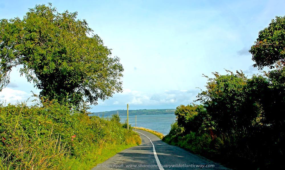 ShannonEstuaryI's tweet image. The Shannon Estuary :  Just one moment in time
@TConlonthecouch  @IndoSport 
 Tommy Conlon goes on the 'loop' with an optimistic Seamus Power @ shr.gs/uD4Jcdj
#theshannonestuaryway #shannonestuary #clare #labasheeda 
#seamuspower @ more.arrs.run/runner/2046
