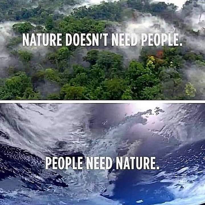 EarthLandLife's tweet photo. Did you know 2 acres of rainforest are destroyed and burned every second 🌎
📷 by #SaveTheEarthPlanet https://t.co/P0kG7z0BVZ