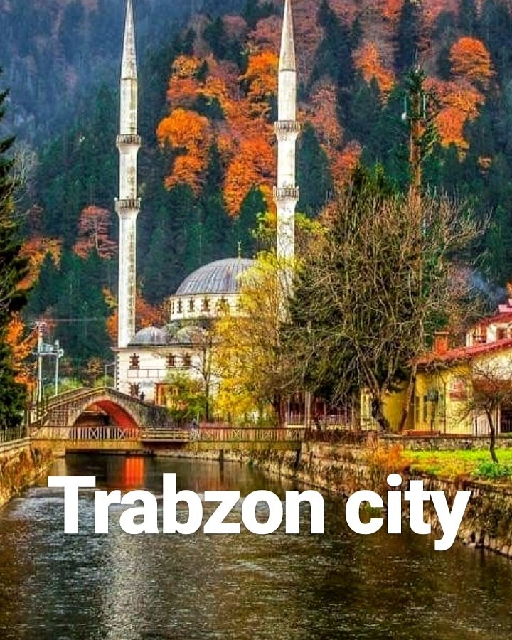 LearnTurkishLa1's tweet photo. https://t.co/jDsMxVd8Z5