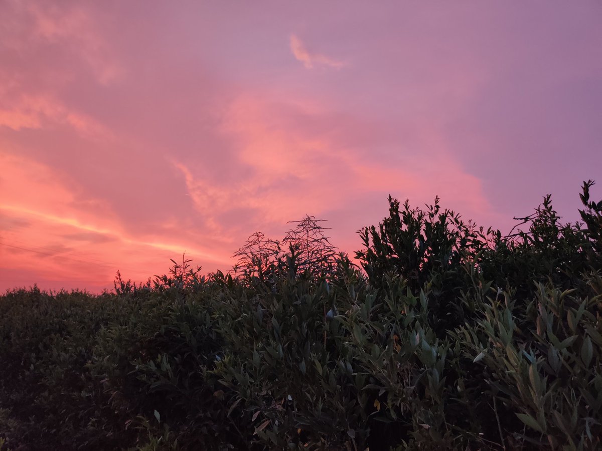 sanesa's tweet photo. An evening @ #Sanesa - Landscape sans the Skyscrapers! https://t.co/X8PGBez5fA