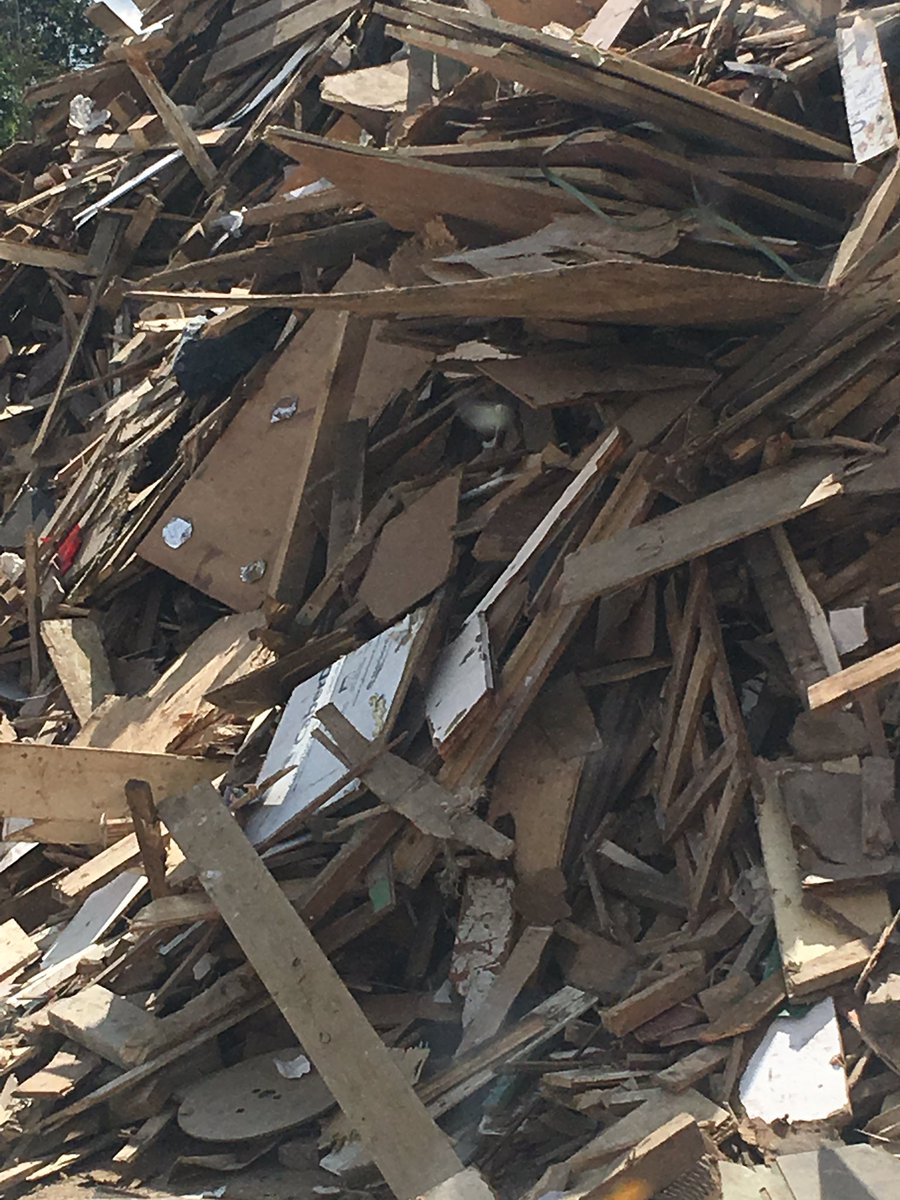 TelfordRecycle's tweet photo. We use local companies to process your waste 👍🏻♻️ #rubbish #Telford https://t.co/cgv9mRxJme