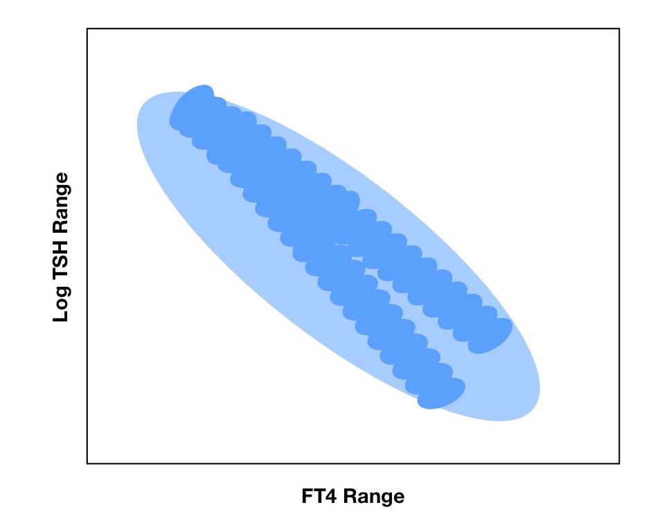 RudolfHoermann tweet media
