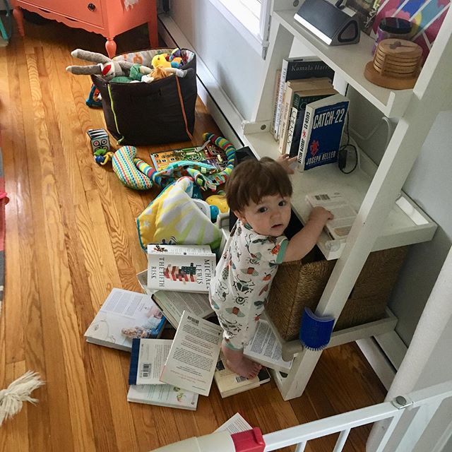 plastrdisastr's tweet photo. I told him he needed to finish reading one book before he took the next one off the shelf, but apparently he’s a really fast reader. https://t.co/9IiqNn9DiT https://t.co/eW5NhDNfzG