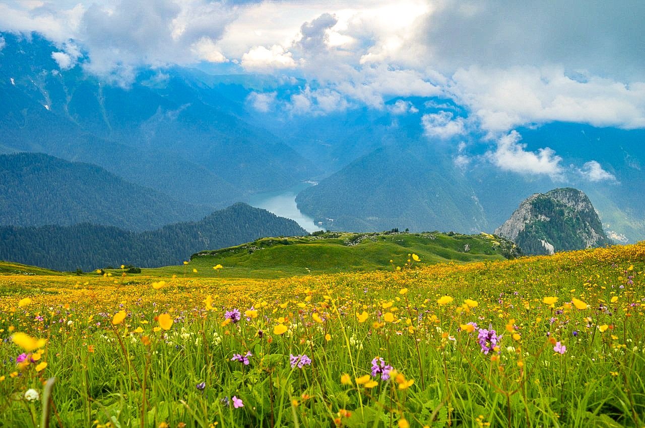Альпийские Луга Абхазия
