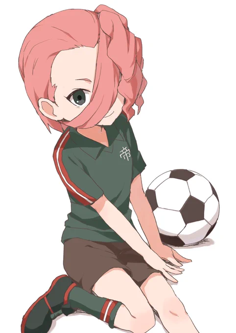 【お題箱】イナズマイレブンの小鳥遊忍ちゃん 