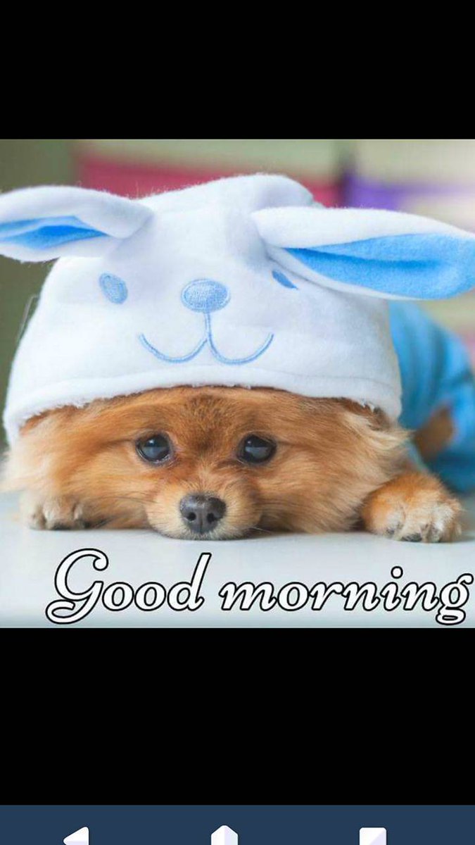 RRLive4's tweet photo. Good Morning Friends Have a Wonderful Day #LIFEisGood #AllAboard #TheChiliTrain #Oldschool https://t.co/qkZkkef8l1