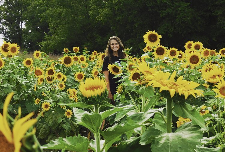JosFlowerCo1's tweet photo. Just an FYI the sunflowers will look their best this week and the beginning of next week so be sure and book a time if interested! https://t.co/ywr7Wrxdxd