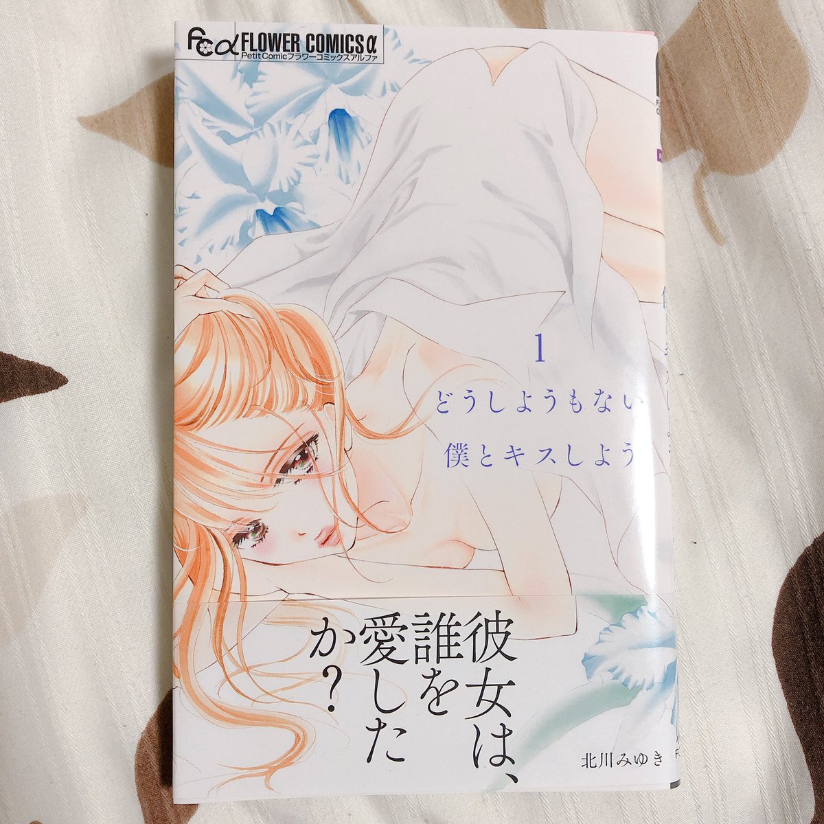 どうしようもない僕とキスしよう どうしようもない僕とキスしよう