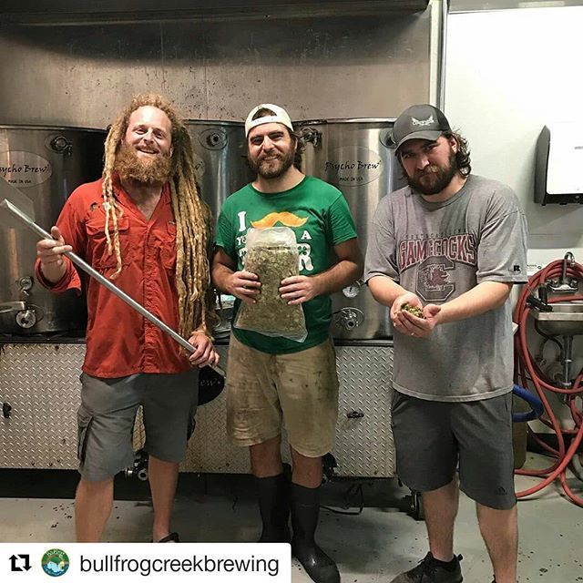 Ohhhh!! 😲❤🌱🍻 This #freshaf brew should be hitting taps over @bullfrogcreekbrewing very soon! They are using #freshfromflorida hops grown at the <a href="/uflorida/">Univ of Florida</a> research hopyard at  the Gulf Coast Research and Education Center in Balm.
-----
#Repost @bullfr… ift.tt/2McmZbH