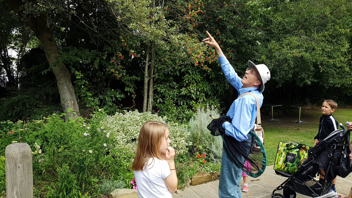ArtsBoxFestival's tweet photo. And our churchyard safari with @iancbeavis  has kicked off with finesse! Great to see many young bug hunters joining us today! @trinitytheatre https://t.co/UBWqiHpWmx