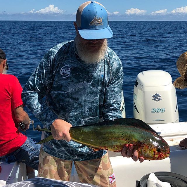 waldeaux's tweet photo. Gettin’ bloody. #mahi #offshore #dunedin #360offshore #angler360 #angler360charters #angler360dunedin #gulfcoast #tampaflorida #marker1marina https://t.co/nQYEVxbsWy https://t.co/qfODQYywpf