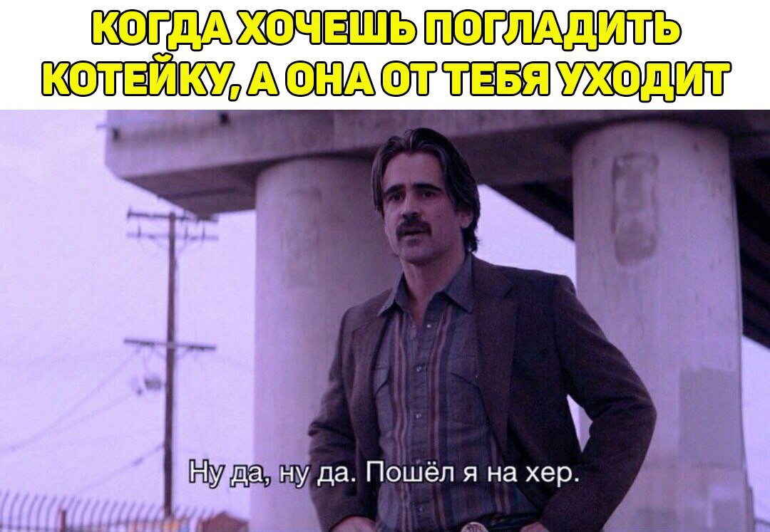 EB2jr9WX4AEt4yT?format=jpg&name=medium